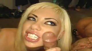 Beauties with perky mambos get lusty pleasurings Thumbnail